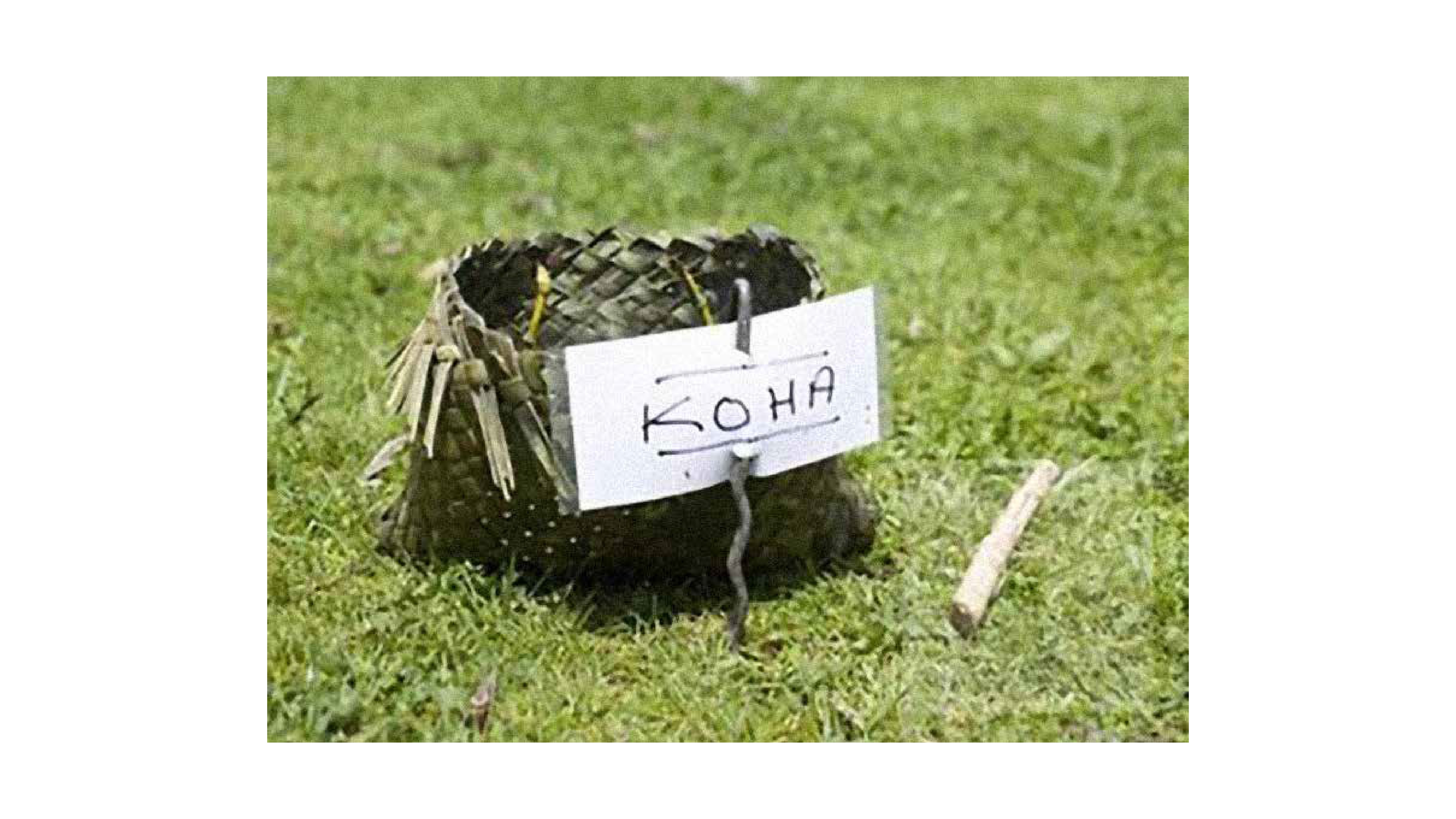 Koha Milk Project Image