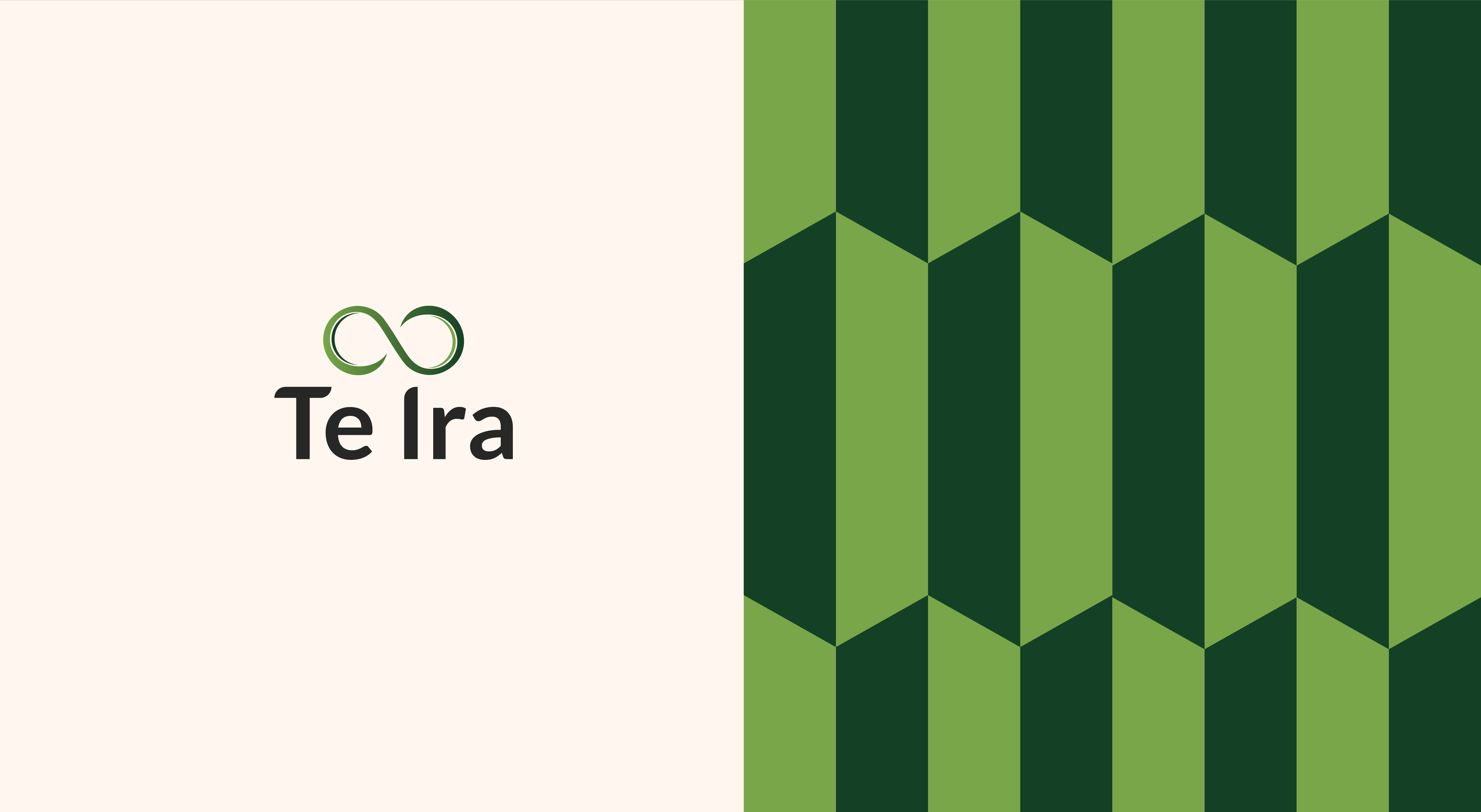 Te Ira project image