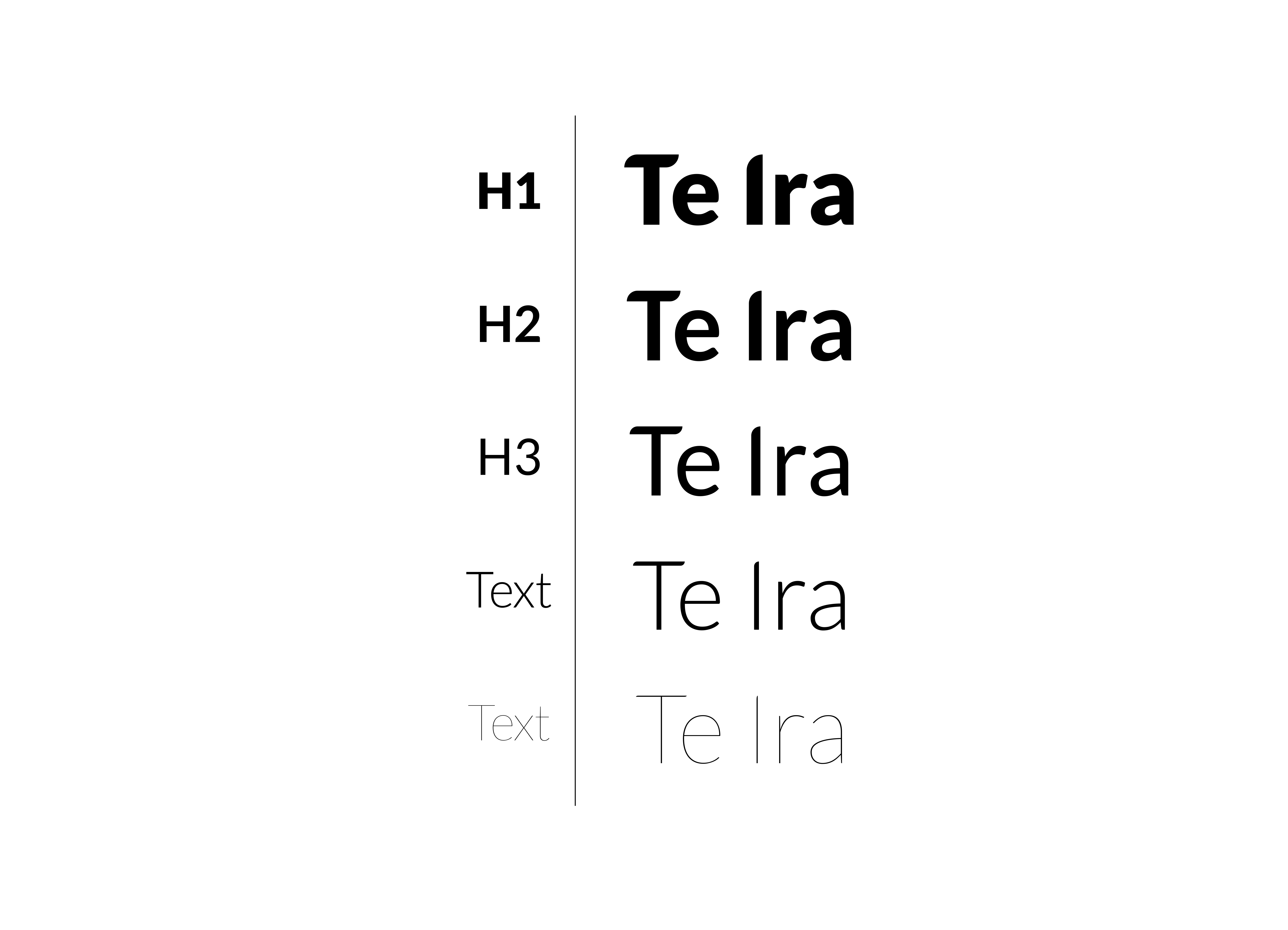 Te Ira project image